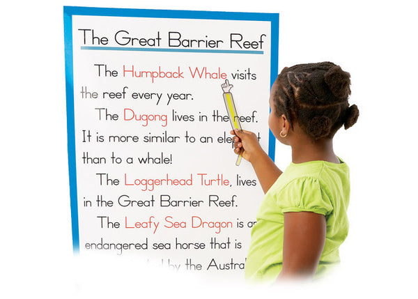 29AU010 - Pointer Reading Strip School Tool