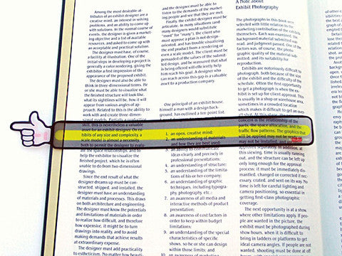 29AU010 - Pointer Reading Strip School Tool