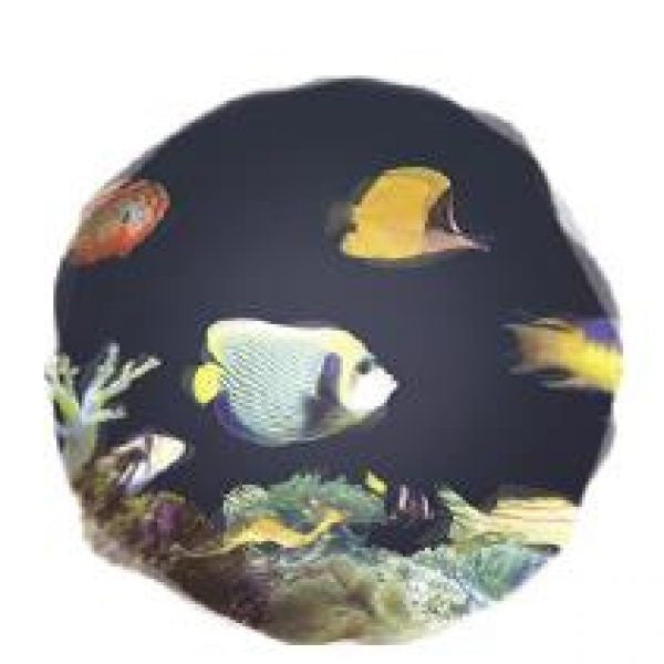 73SE075 - OPTI Aura Wheels for the Sensory Projector