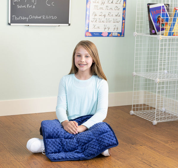 84SE095 - Weighted Lap Pad 2.2kg